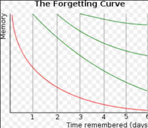 ForgettingCurve 忘却曲線 Wikipedia
